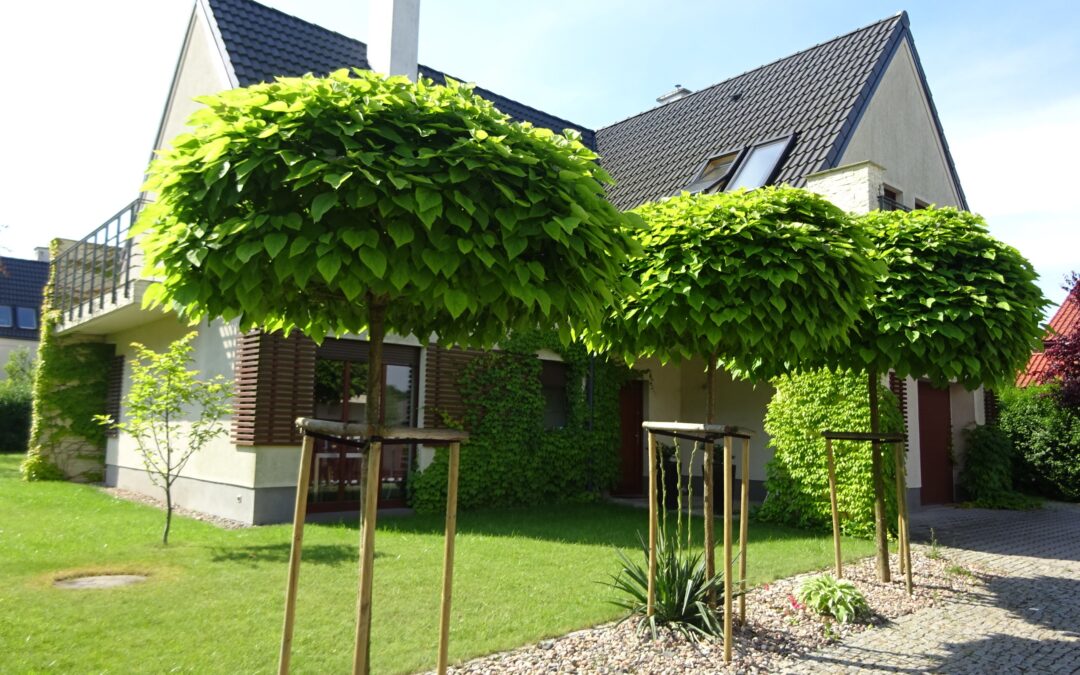 SMOLEC,WOLNO STOJĄCY,POW. DOMU 174m2,POW.DZIAŁKI 786M2,4 SYPIALNIE+SALON,2 ŁAZIENKI,GARAŻ,CENA 1950000 OFERTY SD 252-2025